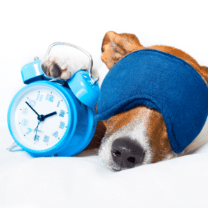 DieetPro tips, afbeelding van een hondje met een wekker en slaapmasker